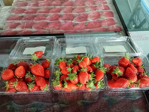 涪陵鸿通草莓园冬季草莓上市 已获《无公害农产