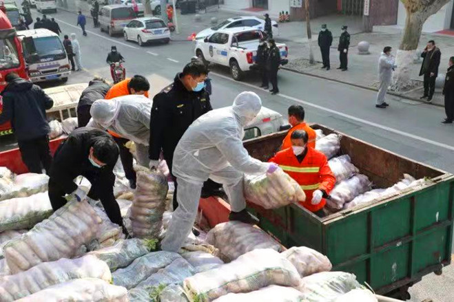 四川“大树哥”捐赠35吨蔬菜驰援武汉