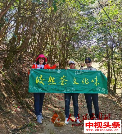 皎然茶-来自苍茫大山青翠的灵魂“舞者”