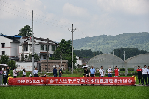 重庆市涪陵区农技协联合会水稻分会成立大会在龙潭召开